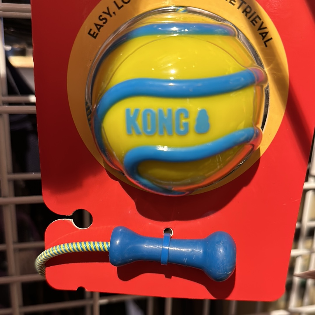 Kong Bunji Wavz