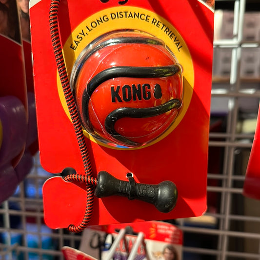 Kong Bunji Wavz