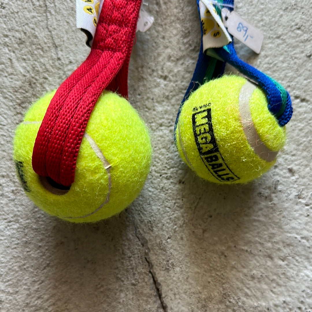 Pawstrading Web Tennis