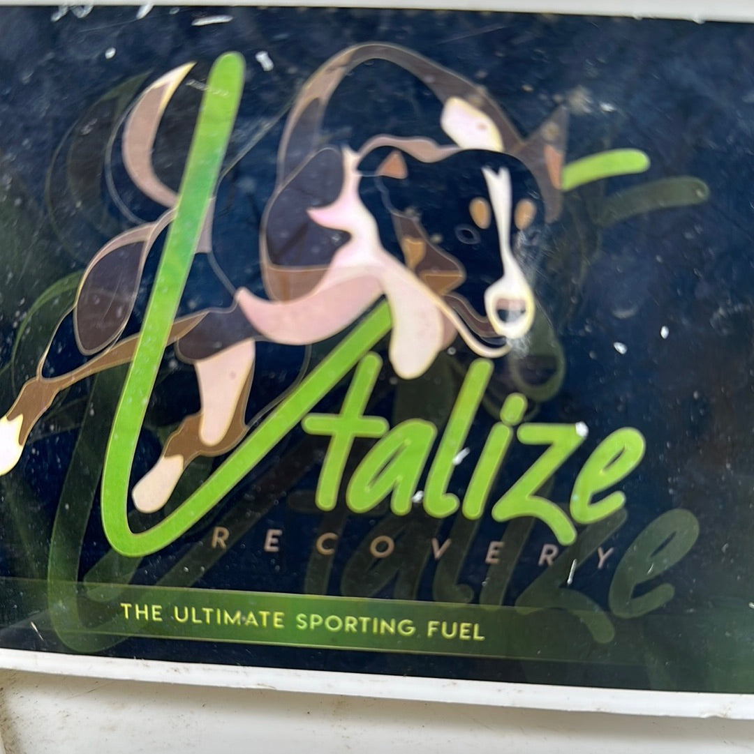 Vtalize Recovery