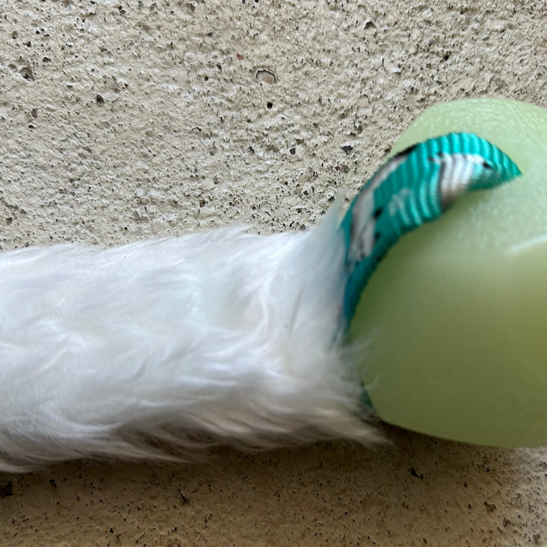 Dogs Craft Winther Glow Erratic
