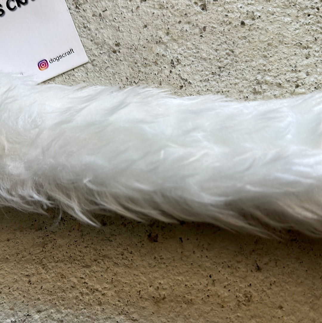 Dogs Craft Winther Glow Erratic
