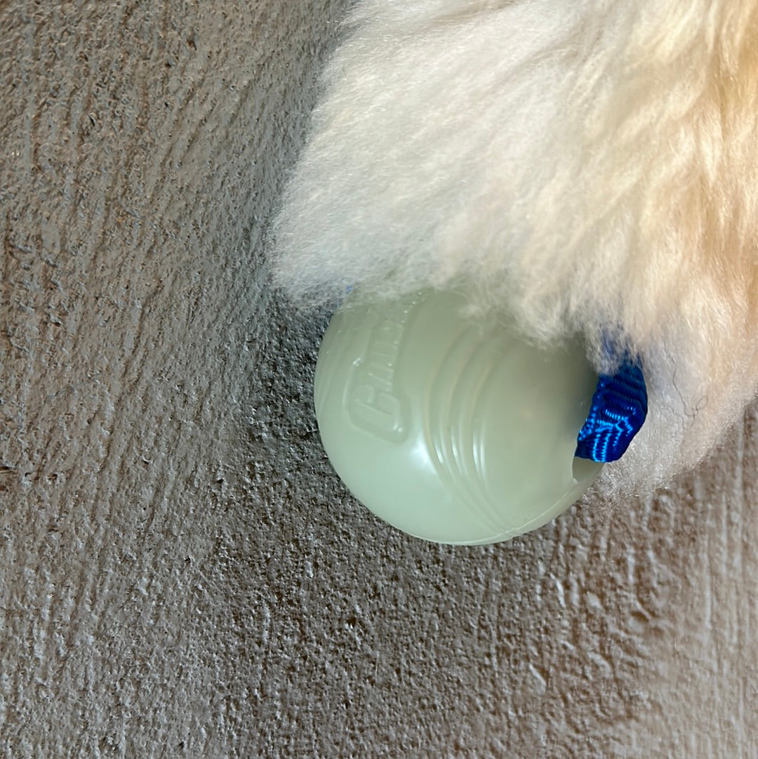 Zayma Craft Sheepskin tug toy with Chuckit Glow