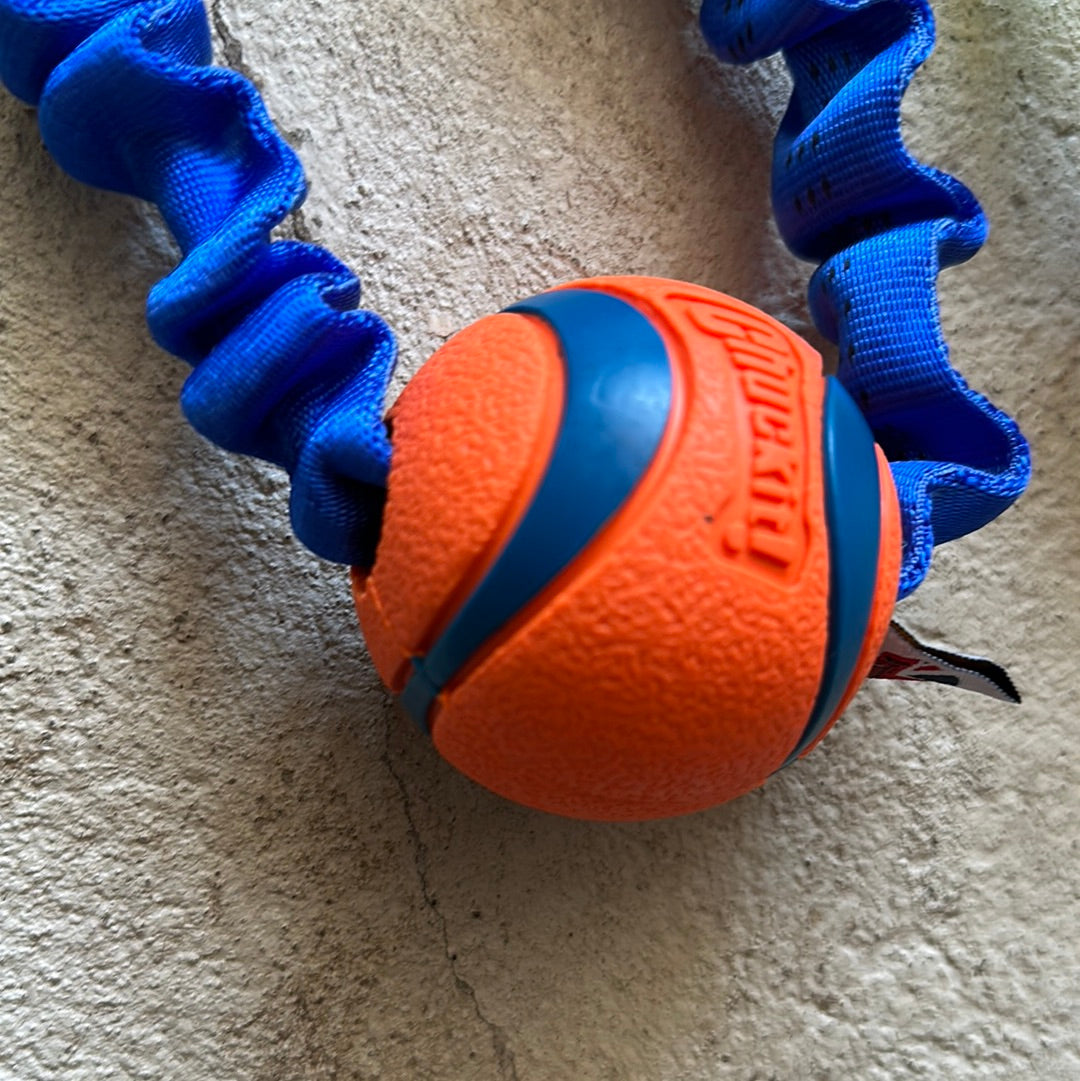 Pawstrading Chuckit Elastic