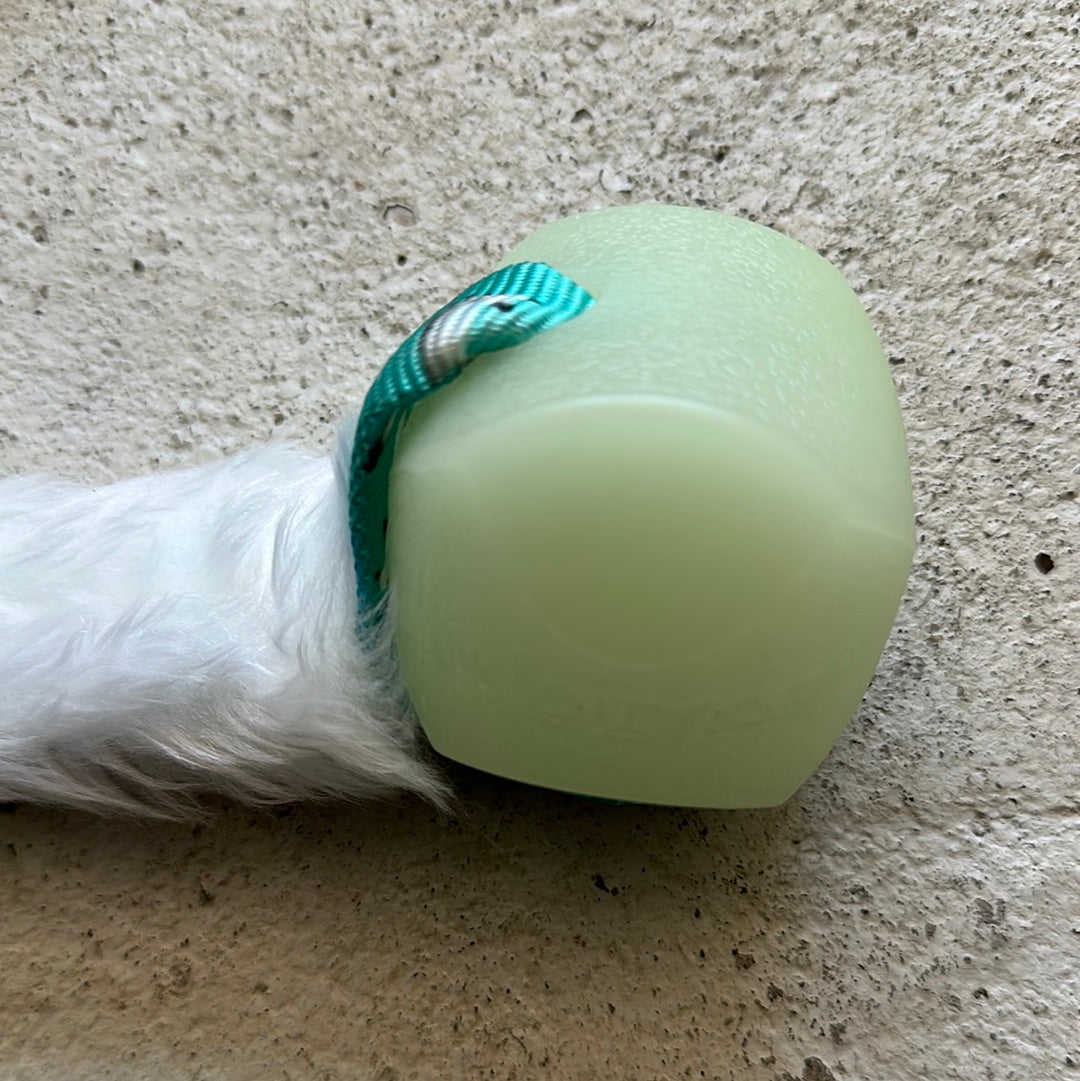 Dogs Craft Winther Glow Erratic