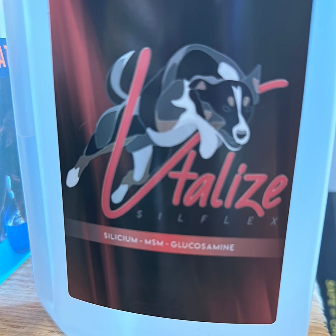 Vtalize Silflex