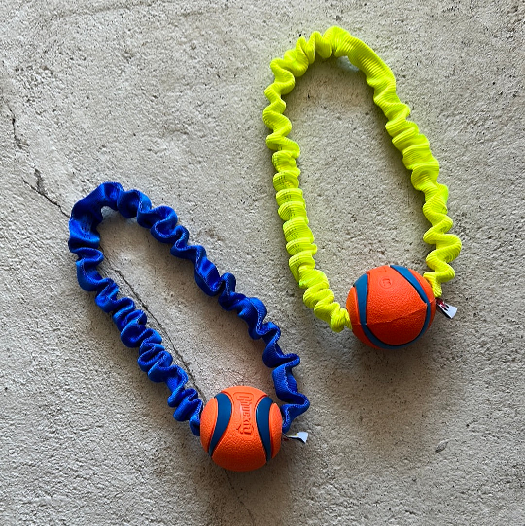 Pawstrading Chuckit Elastic