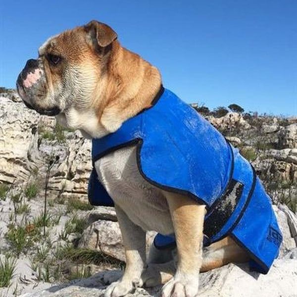 Easidri køledækken