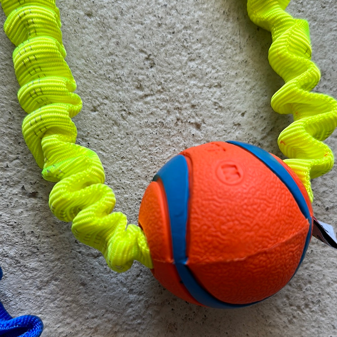 Pawstrading Chuckit Elastic