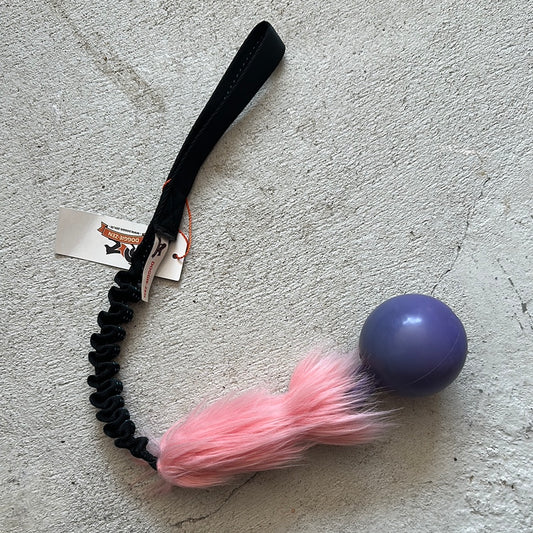 Doggie-zen Elastisk fuskpälskampis med Tug-n-Toss