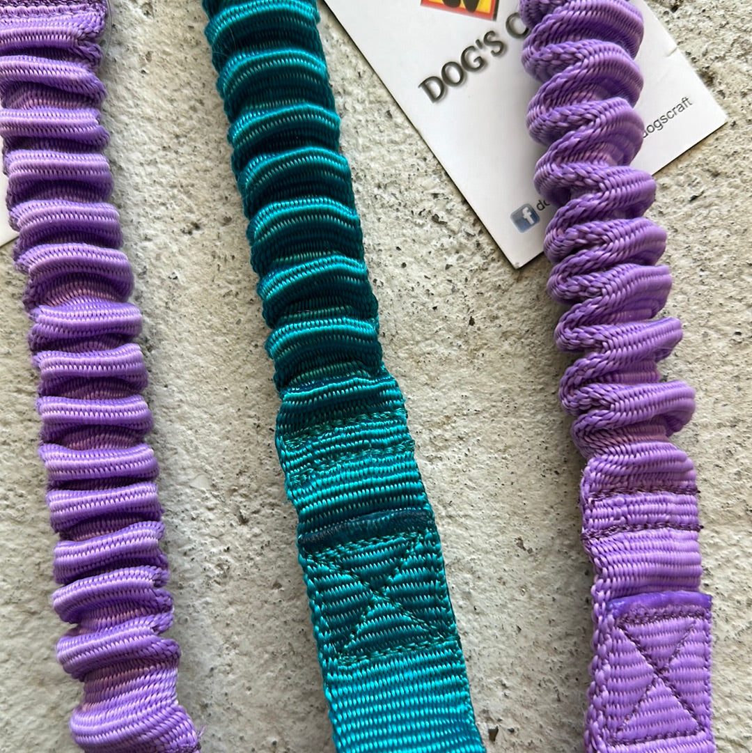 Dogs Craft small Hol-ee
