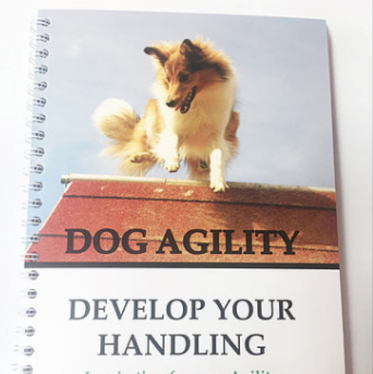 BOG: Develop your handling