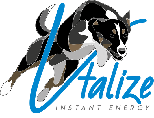 Vtalize Instant Energy