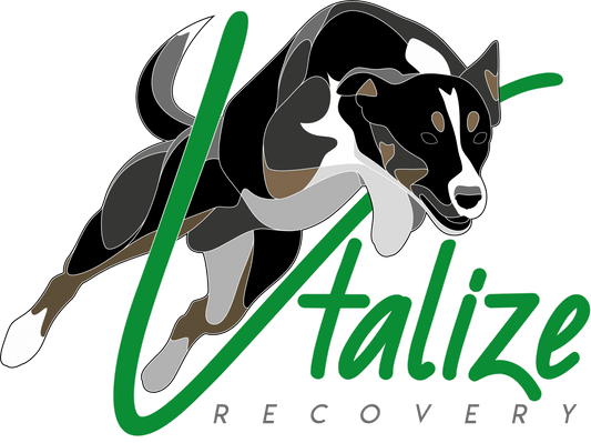 Vtalize Recovery