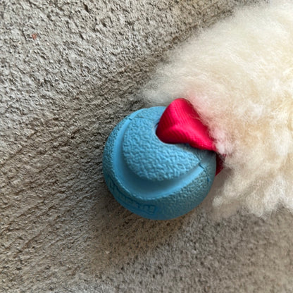 Doggie-zen lille legetøj med pels