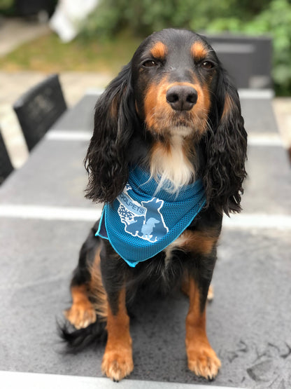 Coolpets kølebandana